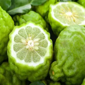 Bergamot Essential Oil