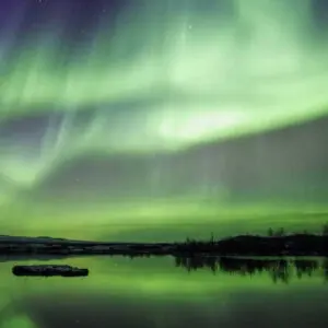 Out of this World Fragrance Oil