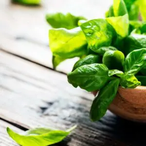 Basil & Bergamot Fragrance Oil