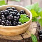 Soothing Blackcurrant Fragrance Oil