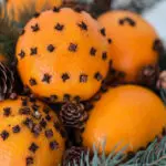 Pomander Balls Fragrance Oil