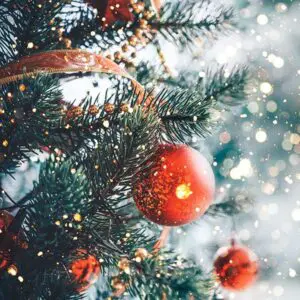 Tinsel Town Fragrance Oil