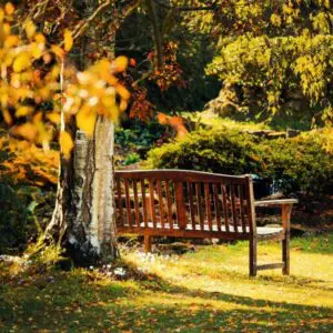 Sanctuary Fragrance Oil