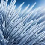 Cold Shiver Fragrance Oil
