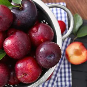 Plum & Peony Fragrance Oil