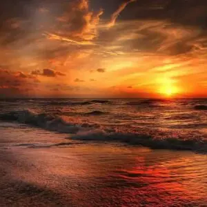 Amber Sunset Fragrance Oil