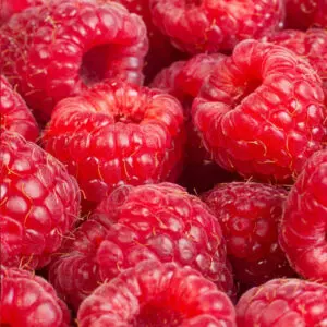 Raspberry Fragrance Oil