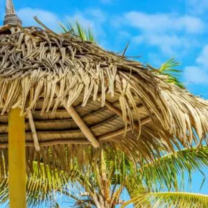 Coco Cabaña Fragrance Oil