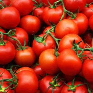 Tomato Vine Fragrance Oil