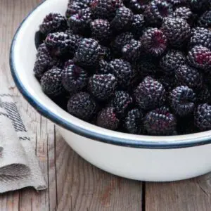 Black Raspberry Fragrance Oil