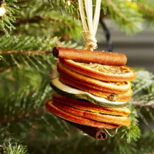 'Tis the Season Fragrance Oil