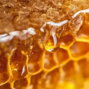 Bee's Knees Fragrance Oil