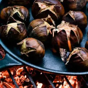 Roasted Chestnut Fragrance Oil