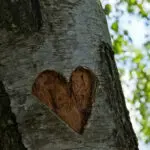 Secret Love Fragrance Oil