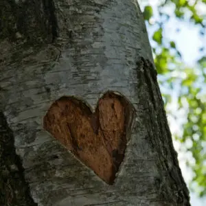 Secret Love Fragrance Oil