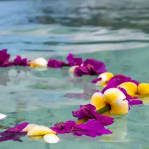 Aloha Fragrance Oil