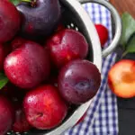 Fruit Harvest Fragrance Oil