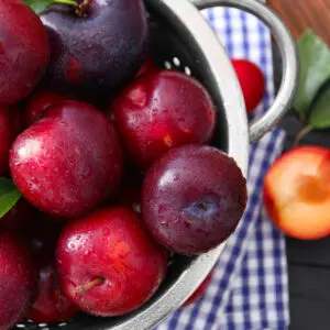 Fruit Harvest Fragrance Oil