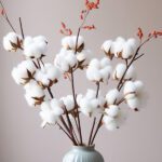 Cotton Blossom Fragrance Oil