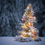 Winter Spruce Fragrance Oil