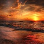Amber Sunset Fragrance Oil