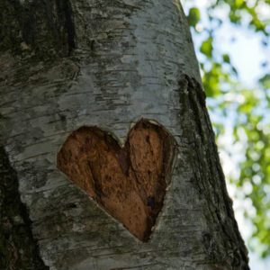 Secret Love Fragrance Oil