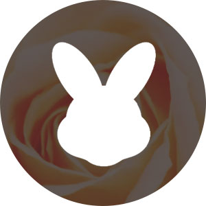Cruelty Free