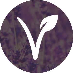 Vegan Friendly